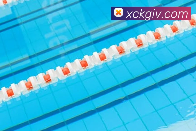 世界杯官网,在线买世界杯平台生态图